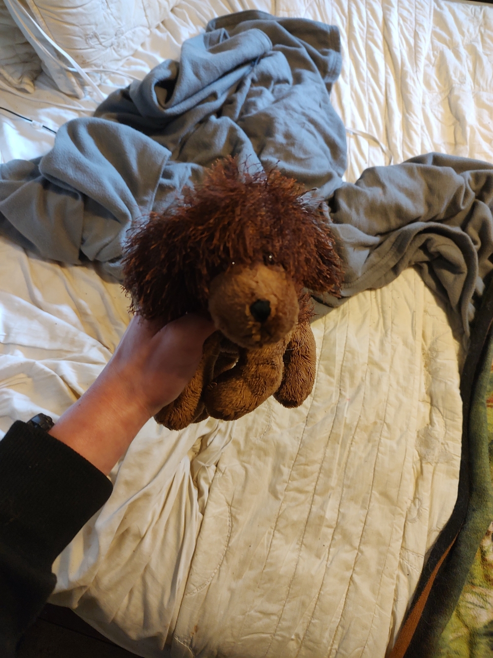Webkinz Brown Dog
